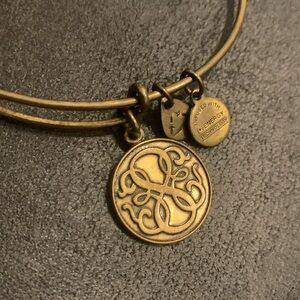 Alex and Ani + Energy Path of Life Infinity Bangle Bracelet